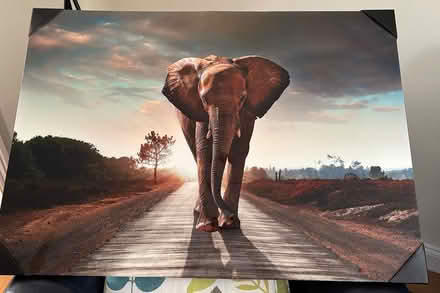Photo of free Picture of an elephant (Abbots Langley WD5) #1