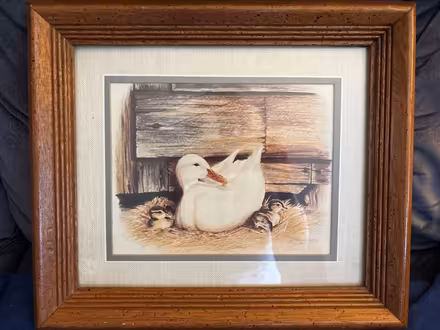 Photo of free Framed duck picture (Drexel Hill) #1