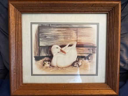 Photo of free Framed duck picture (Drexel Hill) #1