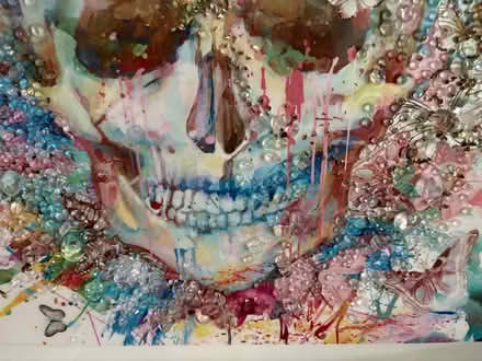 Photo of free Framed skull picture (Abbots Langley WD5) #2