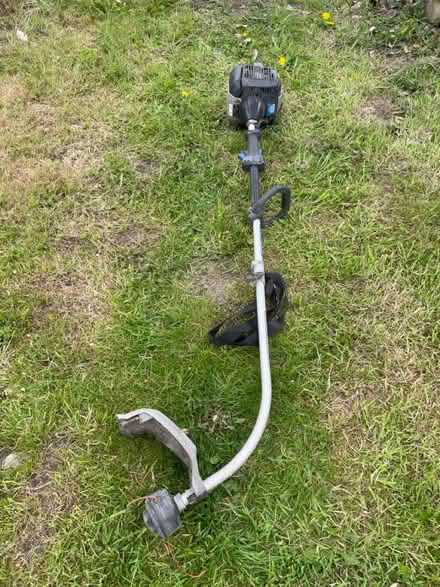 Photo of free Petrol Strimmer (Braithwaite Village) #1
