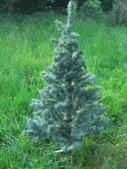 Photo of free Artificial Christmas tree (Langley Slough SL3) #1
