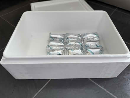 Photo of free Polystyrene cool box and cold pack (Welling DA16) #2