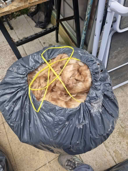 Photo of free Black bag of insulation (Houghton le spring) #1