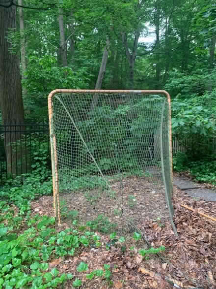 Photo of free Lacrosse Goal (Cleveland Park) #3
