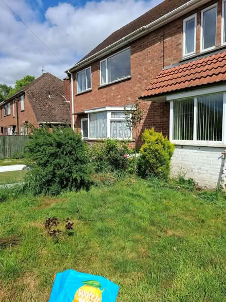Photo of free Plants (Market Rasen LN8) #2