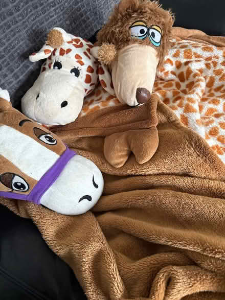 Photo of free Kids Animal blankets (Hartlepool TS24) #1