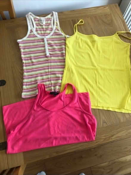 Photo of free Summer Vest tops x 3 (Cheshunt En8) #1