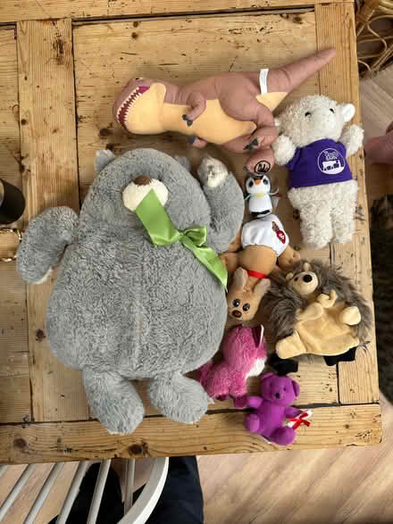 Photo of free Children's soft toys (Ham TW10) #1