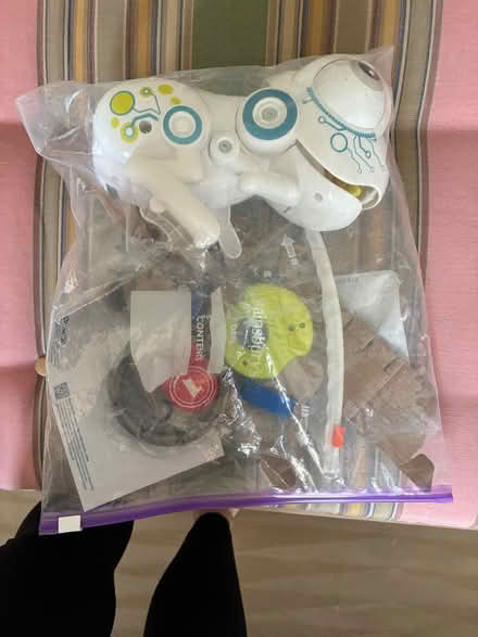 Photo of free RoboFrog Toy (South Kensington W8) #1