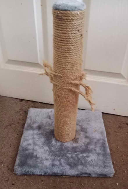 Photo of free Cat Tower & Scratching Post (Edgware HA8 9JN) #3