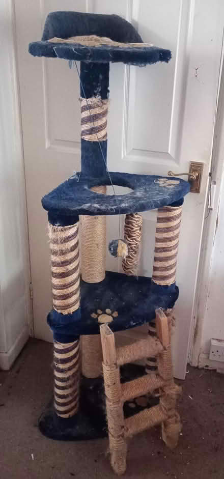 Photo of free Cat Tower & Scratching Post (Edgware HA8 9JN) #2