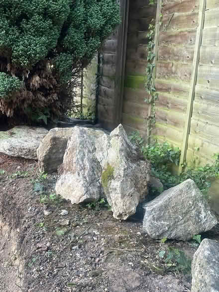 Photo of free Weathered rocks / stones (Kentwood RG30) #3