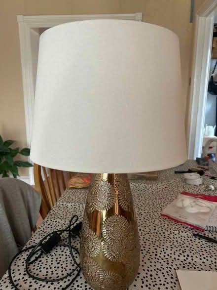 Photo of free Lamp (Hesketh Bank PR4) #1