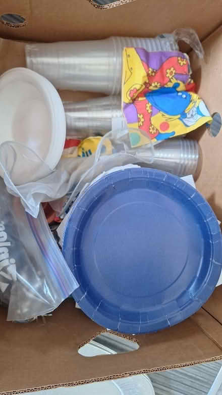 Photo of free Party plates and bowls (Penrith CA11) #2