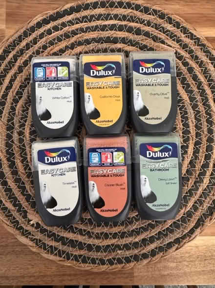 Photo of free Dulux paint samples (L17) #1