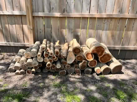 Photo of free Logs (60015) #1