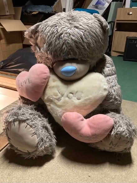 Photo of free Me to You Giant Bear (Codicote SG4) #1