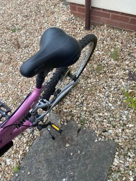Photo of free Bicycle (pink) Trax (Kentisbeare Cullompton) #3