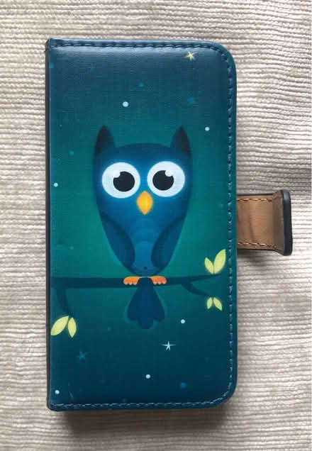 Photo of free Owl picture fold - over case for iPhone 5, 5S (Great Harwood BB6) #1