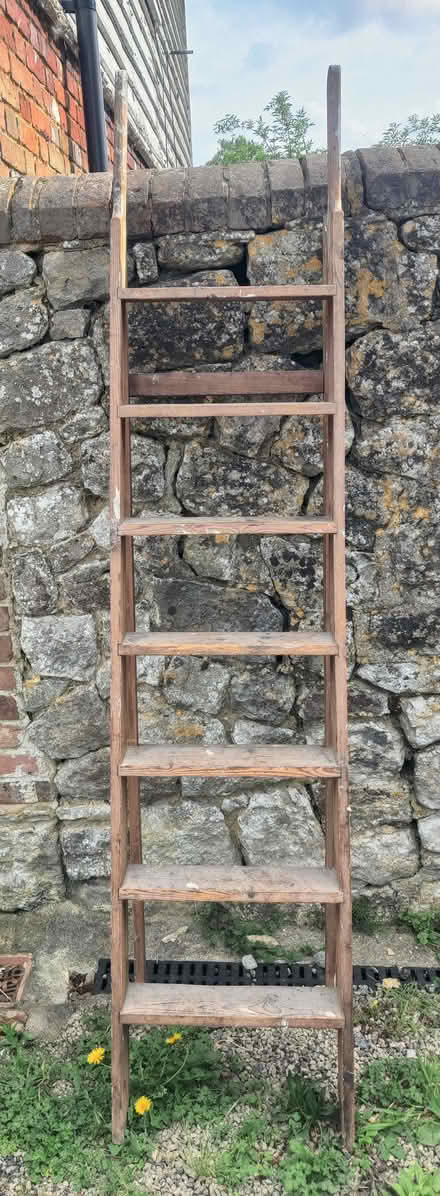 Photo of free Stepladder (West Farleigh ME15) #1
