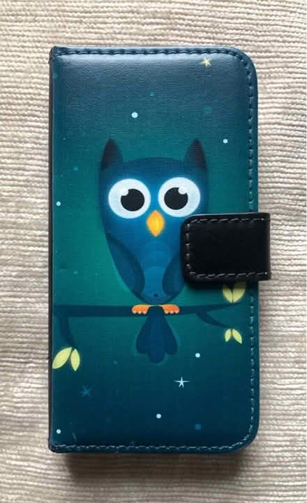 Photo of free Owl picture fold - over case for iPhone 5, 5S (Great Harwood BB6) #2