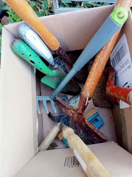 Photo of free A small box of gardening tools (Polegate BN26) #2