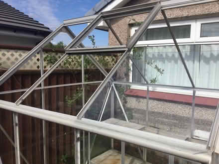 Photo of free Greenhouse (Torrance) #4