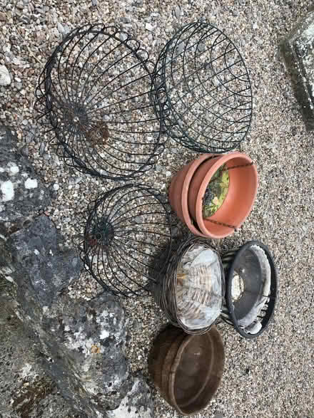 Photo of free Hanging baskets (Great Longstone DE45) #1