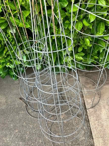 Photo of free Tomato cages (Ticonderoga and Mary) #1