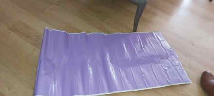 Photo of free formica formica (Hanworth TW13) #1