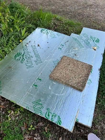 Photo of free Celotex (Hildenborough TN11) #1