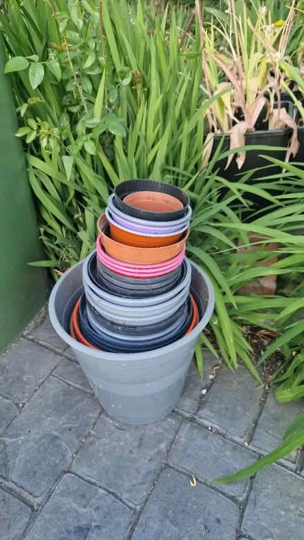 Photo of free Selection of plant pots (Cheadle SK8) #1