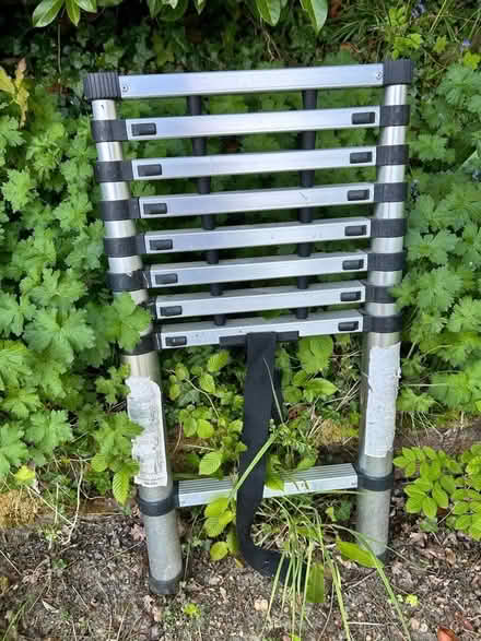 Photo of free Extendable ladder (Hildenborough TN11) #1