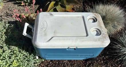 Photo of free Igloo rolling ice chest (Cambrian areA) #1