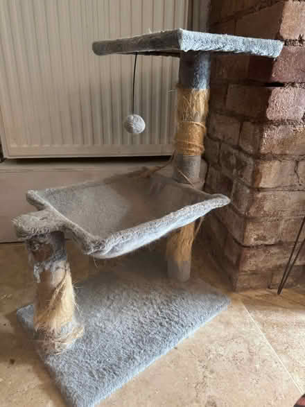 Photo of free Well Used Cat Tree (WR1 Lansdowne) #1