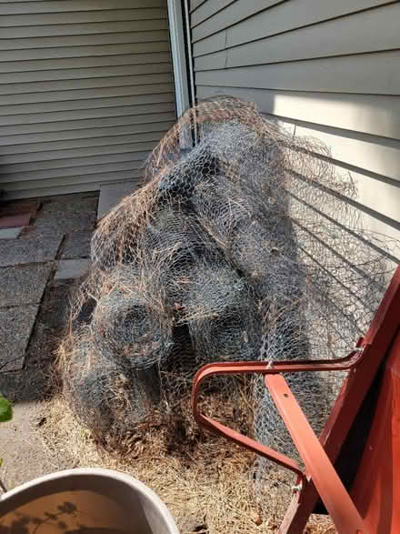 Photo of free Posts and chicken wire (Near Mississippi and Dayton) #3