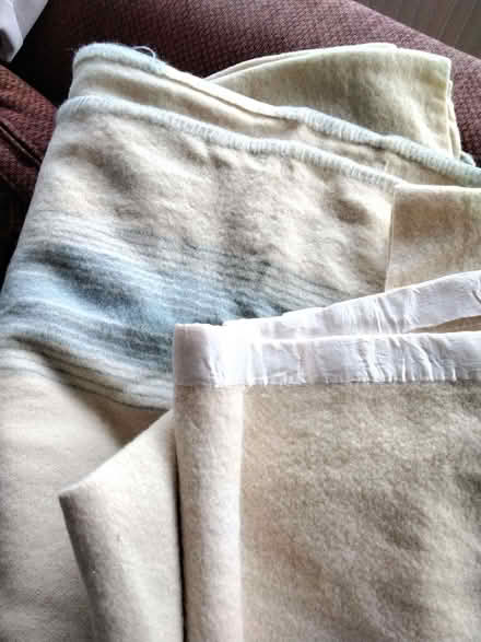 Photo of free Large pure wool blanket with blue trim (Allerton L18) #1