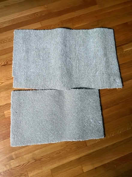 Photo of free Leftover carpet scraps (Arlington Near Stratton) #1