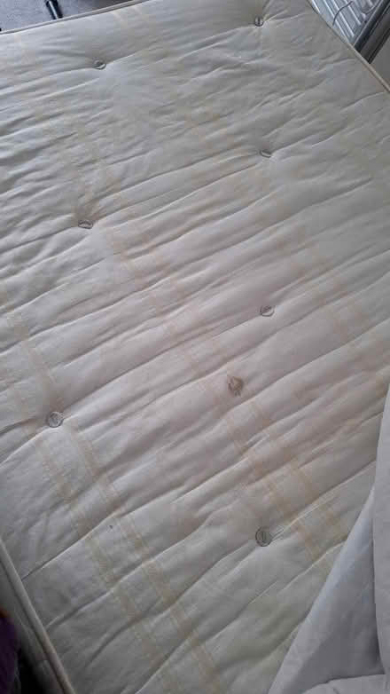 Photo of free Double Bed (Fishers Green SG1) #2