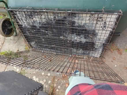 Photo of free Collapsible dog/animal crate CR5 (Hooley CR5) #1