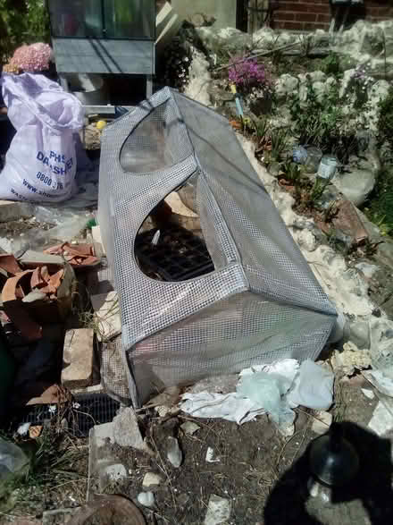 Photo of free Mini Greenhouse (Taverham NR8) #1