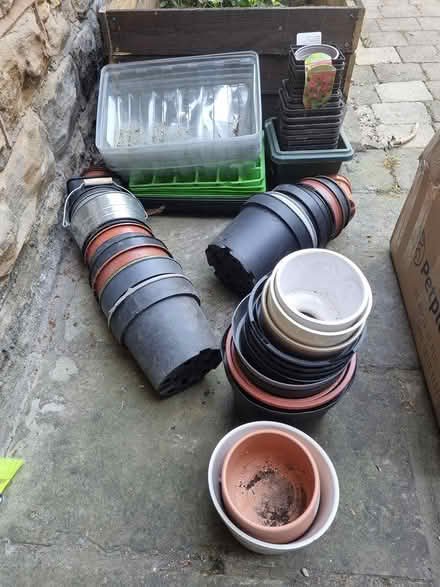 Photo of free Plant pots and seed trays (Hunters Bar S11) #1