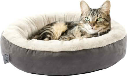 Photo of free Round 20" Cushion Bed for Pets (Brooklyn, 11225) #1