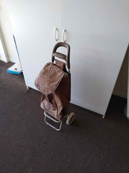 Photo of free Wheeled tote caddy (Leucadia) #1