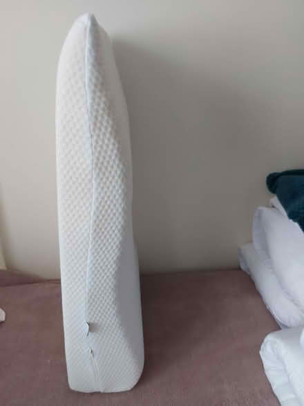Photo of free Lumbar support cushion (RG22 Beggarwood) #2