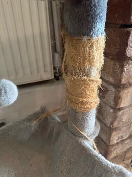 Photo of free Well Used Cat Tree (WR1 Lansdowne) #4