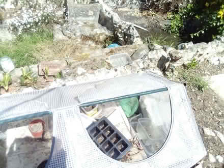 Photo of free Mini Greenhouse (Taverham NR8) #3