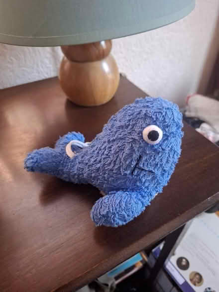 Photo of free Unused Child's Bathtime Fun Whale Sponge/Flannel (Harrogate HG1) #1