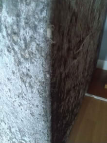 Photo of free Sofa (AB32) #2